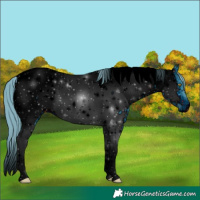 Horse Color:ERROR: UNKNOWN ANOMALY