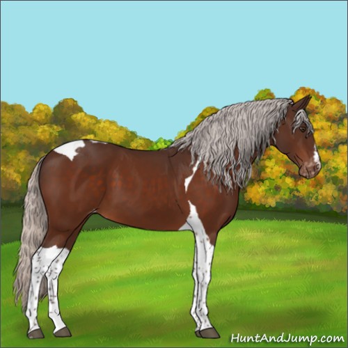 Horse Color:Silver Brown Tobiano Varnish