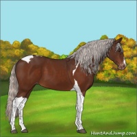 Horse Color:Silver Brown Tobiano Varnish