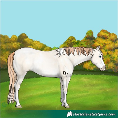 Horse Color:White Spotted Sable Cream Champagne Pearl Dun Splash Rabicano 
