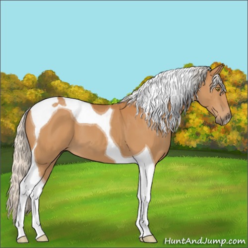 Horse Color:Silver Buckskin Mushroom Tobiano