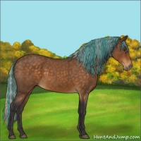 Horse Color:Painted Silver Buckskin Roan 