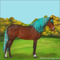 Horse Color:Painted Silver Brown Sabino 