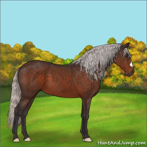 Horse Color:Silver Brown Mushroom