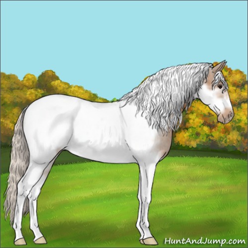 Horse Color:Silver Buckskin Sabino Tobiano Frame