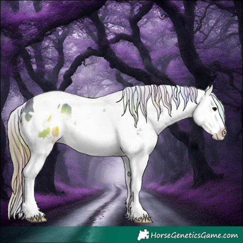 Horse Color:Nacre Black Sabino Splash Tobiano Blanket 