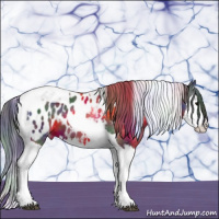 Horse Color:Nacre Black Sabino Splash Tobiano Appaloosa 
