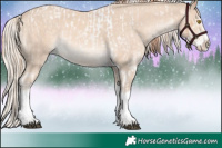 Horse Color:Bay Roan Pearl Splash Tobiano  and Cremello Splash 