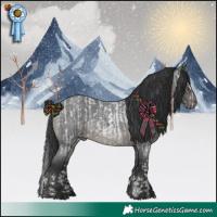 Horse Color:Blue Roan Splash  and Blue Roan 
