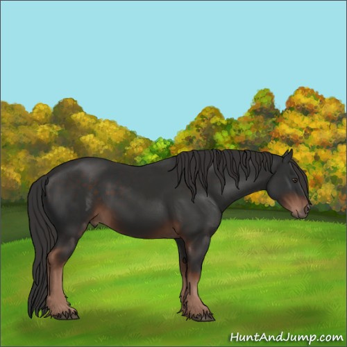 Horse Color:Liver Chestnut  and Liver Chestnut 