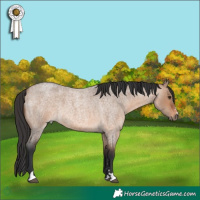 Horse Color:Brown Roan Dun 