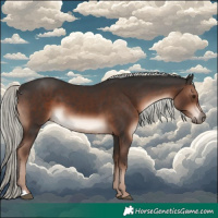 Horse Color:Liver Chestnut Mushroom 