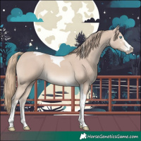 Horse Color:Smoky Creme Sabino Tobiano 