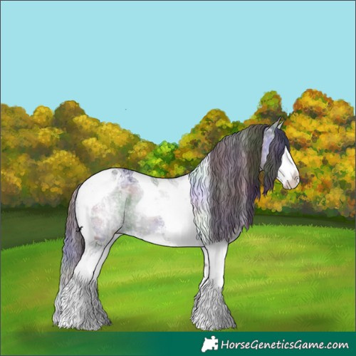 Horse Color:Nacre Smoky Grullo Chinchilla Ice Sabino Splash Tobiano 