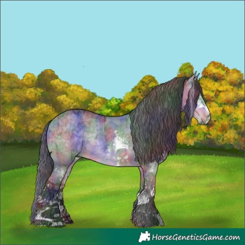 Horse Color:Nacre Buckskin Chinchilla Dun Sabino Rabicano Brindle 