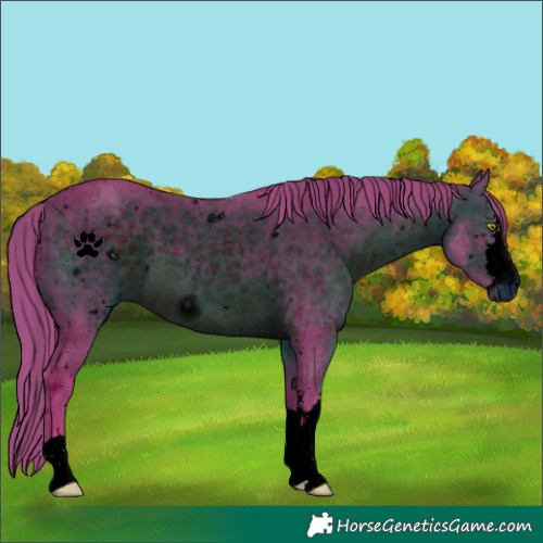 Horse Color:ERROR: UNKNOWN ANOMALY