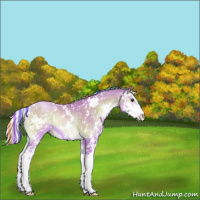 Horse Color:Painted Watercolor Silver Bay Pearl Onyx Sabino