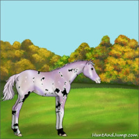 Horse Color:Watercolor White Spotted Silver Blue Onyx Pearl Sabino Rabicano 