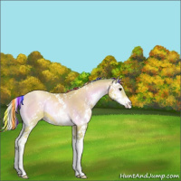 Horse Color:Painted Watercolor Silver Brown Pearl Onyx Sabino Rabicano