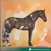 Horse Color:White Spotted Silver Black 
