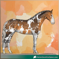 Horse Color:White Spotted Silver Buckskin Sabino