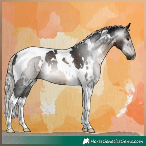 Horse Color:Gray White Spotted Silver Brown Tobiano