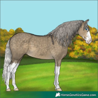Horse Color:Silver Smoky Grullo Sabino Splash