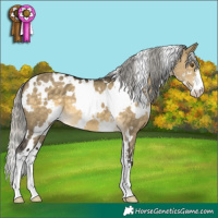 Horse Color:White Spotted Silver Buckskin Dun Mushroom Sabino 
