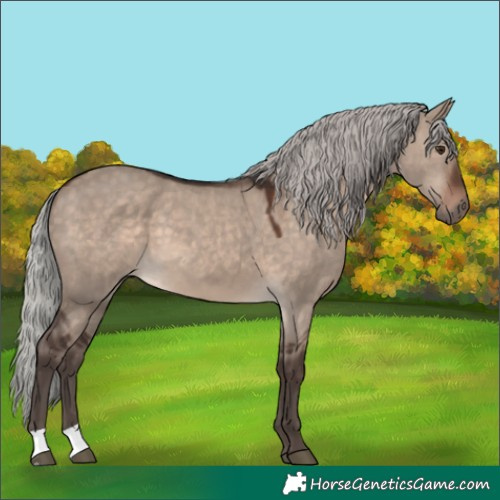 Horse Color:Silver Brown Dun Mushroom 