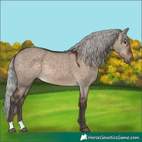 Horse Color:Silver Brown Dun Mushroom
