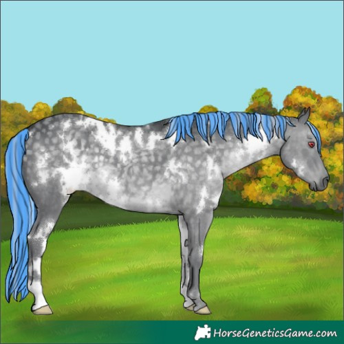 Horse Color:Painted White Spotted Silver Grullo Chinchilla