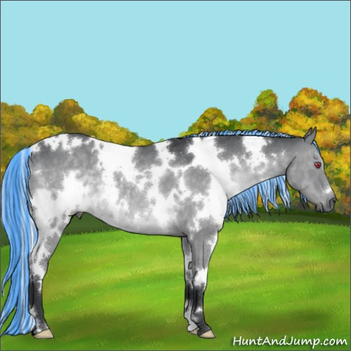 Horse Color:Painted White Spotted Silver Grullo Chinchilla 