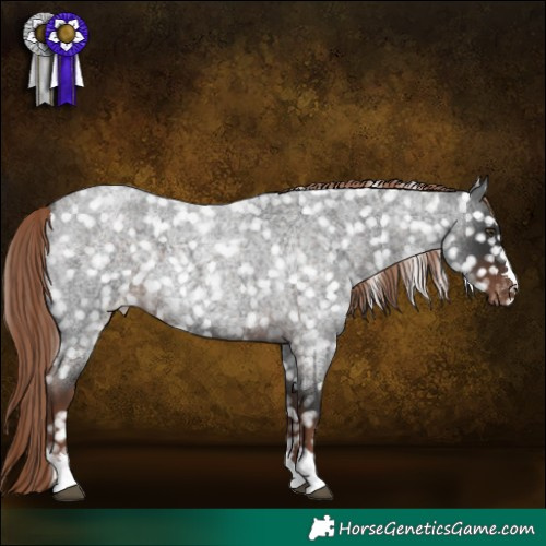 Horse Color:Liver Red Roan Snowflake Varnish 