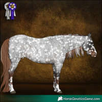 Horse Color:Liver Red Roan Snowflake Varnish 
