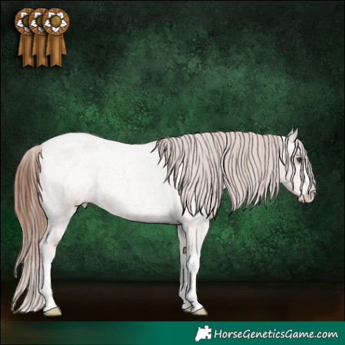 Horse Color:White Spotted Red Dun Roan Varnish 