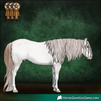 Horse Color:White Spotted Red Dun Roan Varnish 