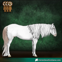 Horse Color:White Spotted Red Dun Roan Appaloosa 