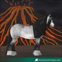 Horse Color:Gray Platinum Brown Roan Dun 