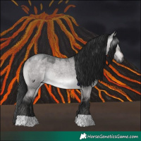 Horse Color:Gray Platinum Brown Roan Dun 