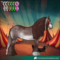 Horse Color:Gray Platinum Chocolate Brown Dun 