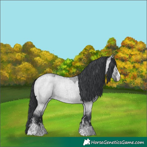 Horse Color:Grullo Chinchilla Roan Sabino 