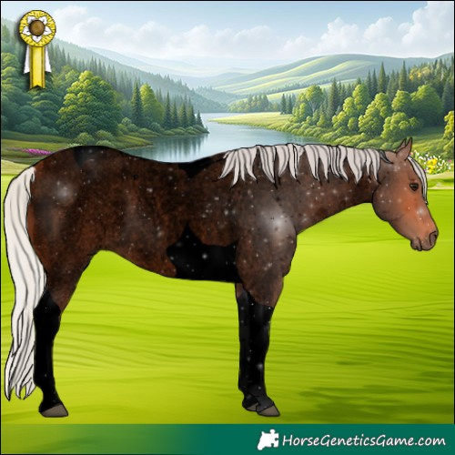 Horse Color:Void Silver Bay Roan Tobiano 