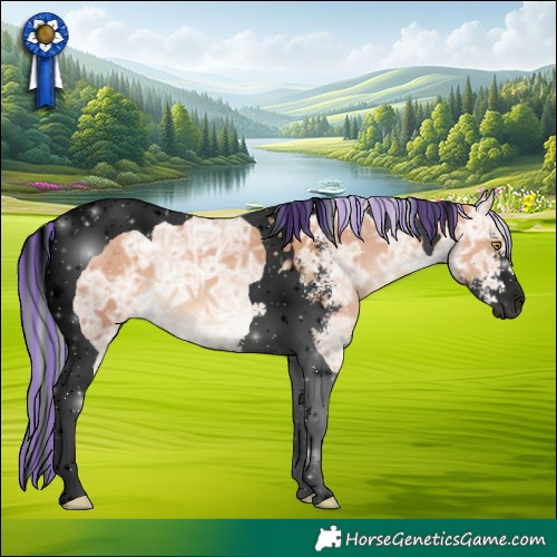 Horse Color:Void Painted Silver Sable Champagne Ice Sabino Tobiano 