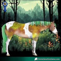 Horse Color:Painted Silver Brown Sabino Tobiano