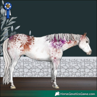 Horse Color:White Spotted Silver Bay Ice Sabino 