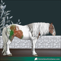 Horse Color:Silver Brown Sabino Tobiano
