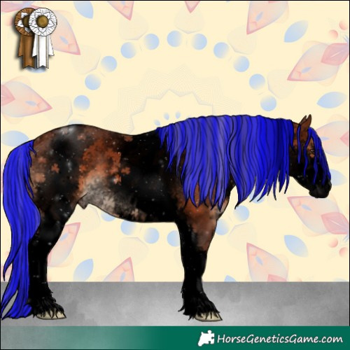 Horse Color:Void Painted White Spotted Silver Brown Sabino 