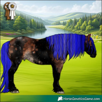 Horse Color:Void Painted White Spotted Silver Brown Sabino 
