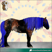 Horse Color:Void Painted White Spotted Silver Brown Sabino 