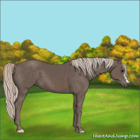 Horse Color:Silver Black 